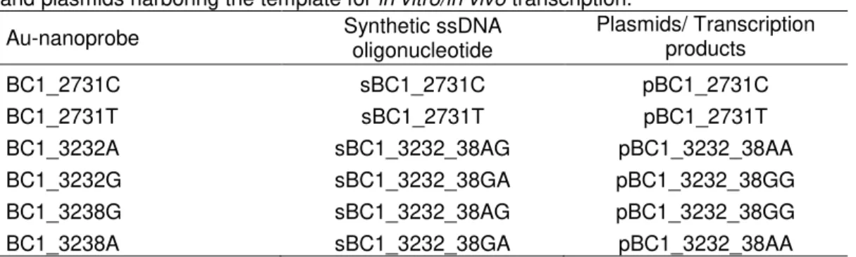 Table 3.1 - Au-nanoprobes and their fully complementary targets. Synthetic ssDNA targets  and plasmids harboring the template for in vitro/in vivo transcription