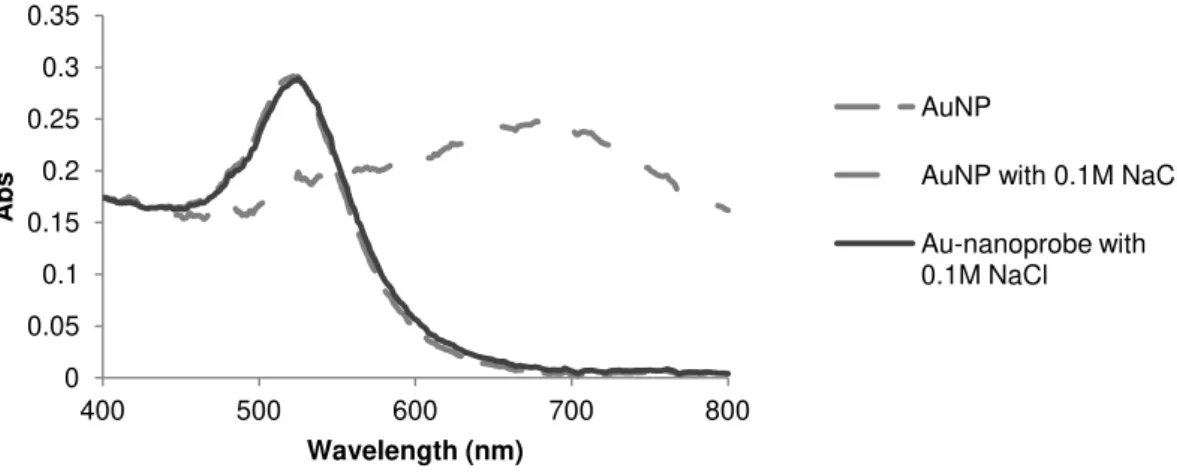Figure  3.4  –   AuNPs  vs  Au-nanoprobes  stability.  UV-visible  absorption  spectrum  of  the  AuNPs  and  Au-nanoprobes  in  the  presence  of  NaCl