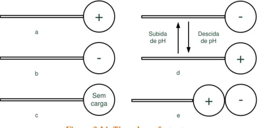 Figura 2.14: Tipos de surfactantes 