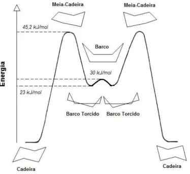 Figura 3 – Molécula de ciclohexano nas várias conformações possíveis