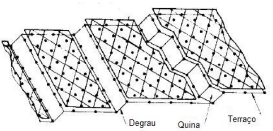 Figura 12 – Superfície da platina, evidenciando as várias características estruturais [5] (adaptado)