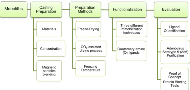 Figure 1.3 – Work scheme of this thesis.