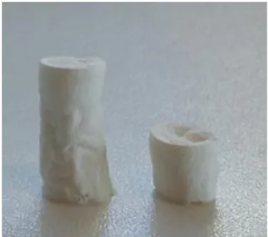 Figure 2.1 – Example of native CHT/PVA monoliths prepared by Freeze-Drying. 