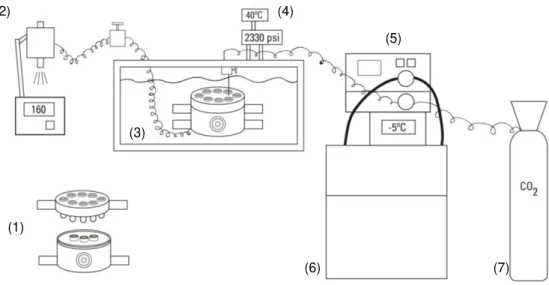 Figure 2.3 - Schematic representation of the installation used for the preparation of monoliths using scCO 2 ,  consisting of: the high-pressure cell containing monoliths in the steel containers (1), a backpressure regulator (2),  the thermal bath (3), the