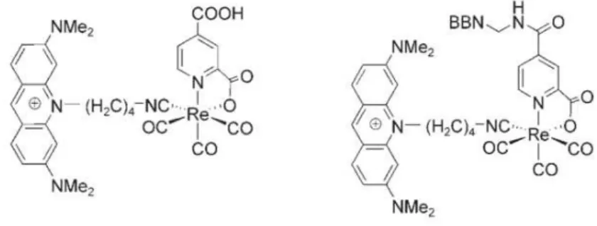 Figure 1.11 Re-tricarbonyl complexes containing acridine orange as  DNA-binding group (left)  functionalized with bombesin (BBN) bioactive peptide (right) introduced by Alberto and coworkers 43   