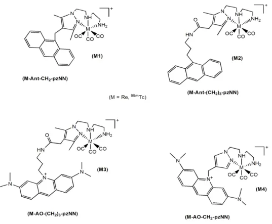 Figure 1.14 Molecular structures of the Re and  99m Tc complexes  proposed in this thesis 