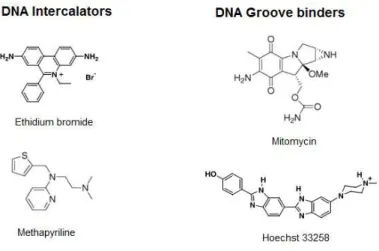 Figure 1.18 Molecular structure of some DNA-binding molecules 56,57