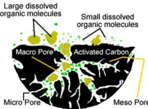 Figure 2.4- Representation of an activated carbon porous matrix [34]