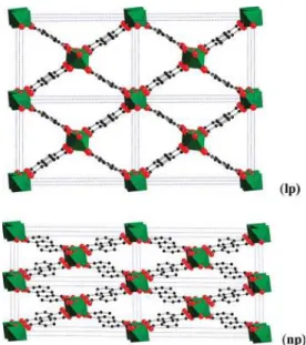 Figure 2.5- Representation of the metastable lp and np structures of the MIL-53(Al) material,  as a 2 ×2×2 supercell viewed along the axis of the unidimensional channels [28] 