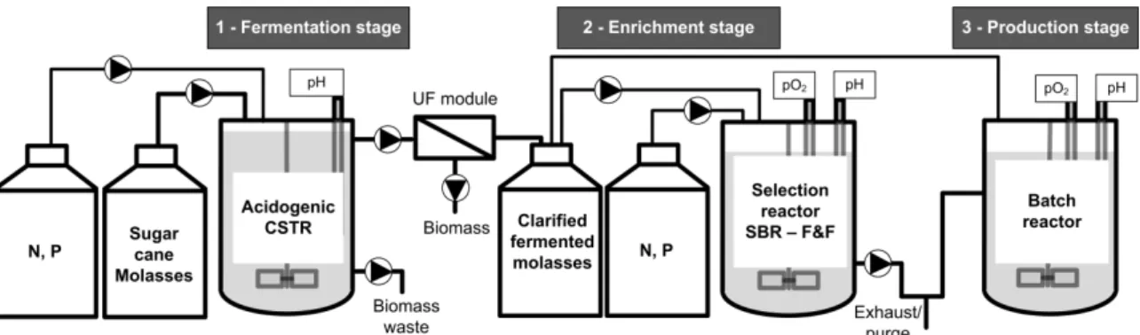 Figure 3.1: Experimental setup of MMC-PHA production from sugar cane molasses. (adaptation from  (Albuquerque et al., 2010b))