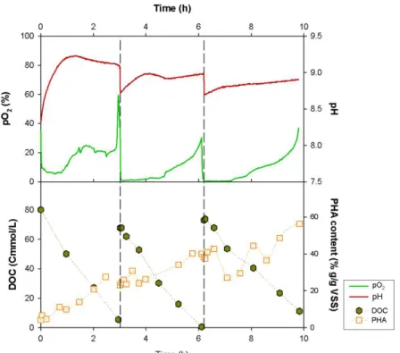 Figure 3.2: Dissolved oxygen (pO 2 ) as indicator of VFA exhaustion (end of a pulse). On-line (pH and pO 2 )  and off-line (DOC and PHA) data for the experiment FM V are represented, respectively, on the top and 