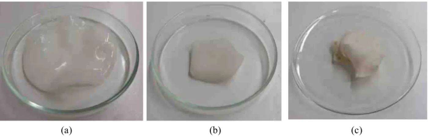 Figura 2.4 – (a) Membrana reticulada com HMDII em metanol. (b) Membrana reticulada com HMDII  completamente seca