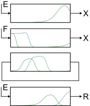 Figure 3.12: Axial composition profiles in the fluid phase at four intervals of the cycle.