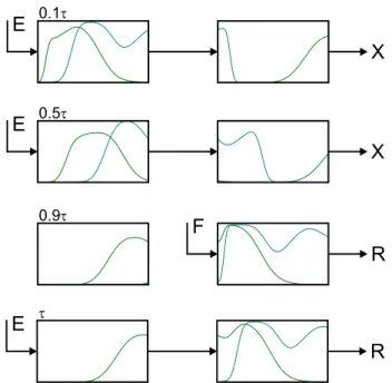 Figure 3.19: Steady periodic solution of the axial composition profile for the first switching interval for the two-column, open-loop operation with discontinuous elution defined in Table 3.3
