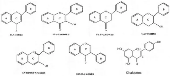 Figure 1.20 - Generic chemical structure of subclasses of flavonoids. Adapted from: [53] 