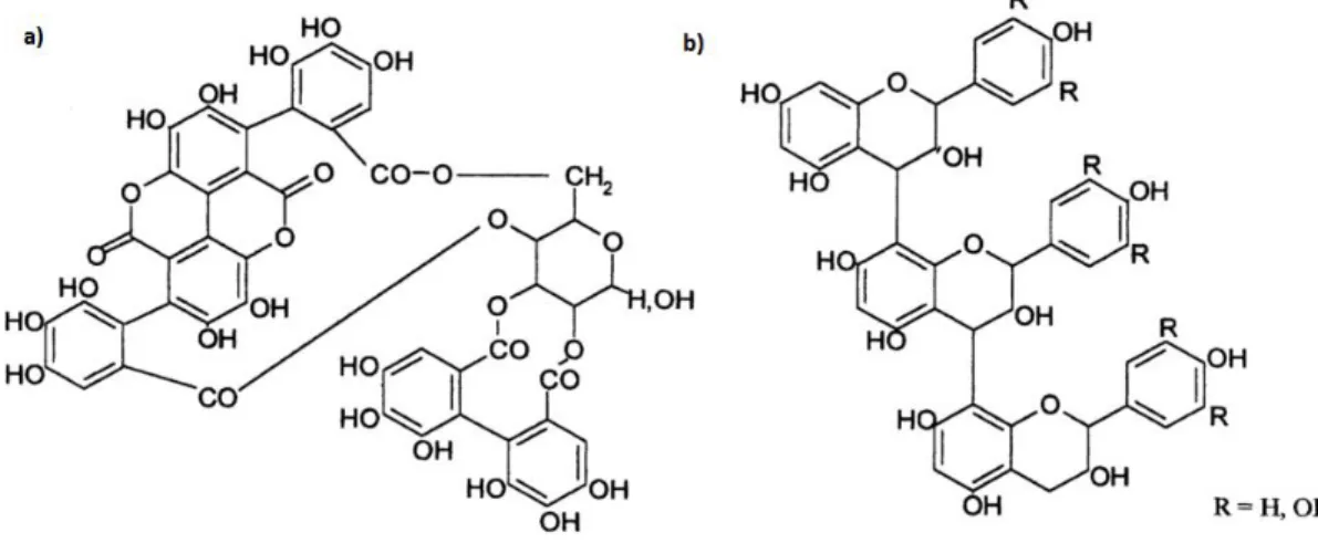 Figure 1.21 - Basic chemical structure of tannins: a) Hydrolysable tannins; b) Condensed tannins