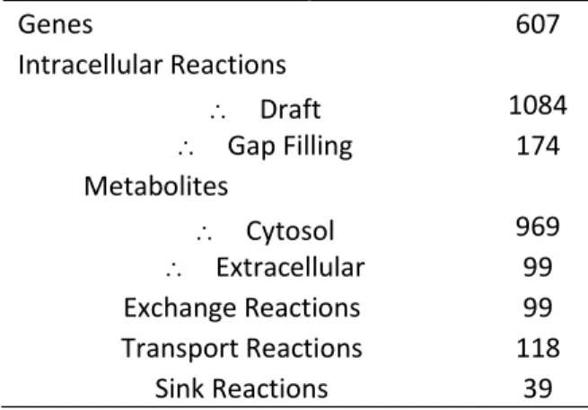 Figure 3.2. Affiliation of intracellular reactions to the different major metabolic pathways