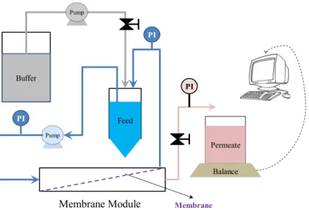 Figure 2: Experimental setup for the DF experiments (  ,  ,   represents the buffer flow line,  milk circulation line and permeate flow channel respectively; and “PI” stands for the pressure 