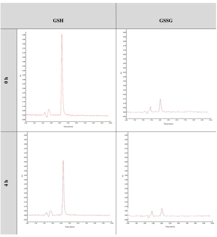 Table 4.2 - HPLC chromatograms of GSH and GSSG for SK-N-MC cells incubated with H 2 O 2  (300 µM) during 4 h  and HPLC chromatograms for GSH released from  glutathionylated proteins (PSSG) relatively to SK-N-MC control  cells  (0  h)