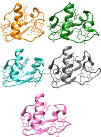 Figure  3:  Structures  of  triheme  periplasmic  cytochromes  from  Geobacter  sulfurreducens:  PpcA  (2LDO, orange), PpcB (3BXU, green), PpcC (3H33, blue), PpcD (3H4N, grey) and PpcE (3H34, pink)