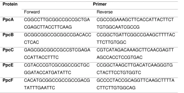 Table 2: Primers used to amplify the sequence of each protein. 