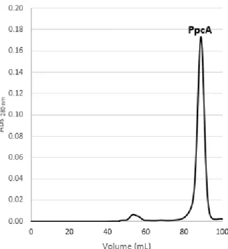 Figure 16: A- Elution profile for the cation exchange column chromatography equilibrated with 10 mM Tris- Tris-HCl, pH 8 for PpcF (flow rate of 1 ml/min)