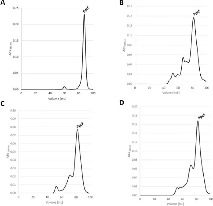 Figure 17: Elution profile obtained in molecular exclusion column chromatography for each band (1-4)  obtained in the cationic exchange chromatography step for PpcF
