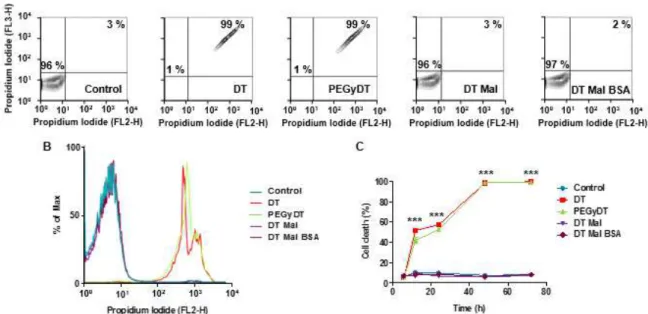 Figure 3.2  –  DT functionality after modification tested on  in vitro  HeLa cell line culture