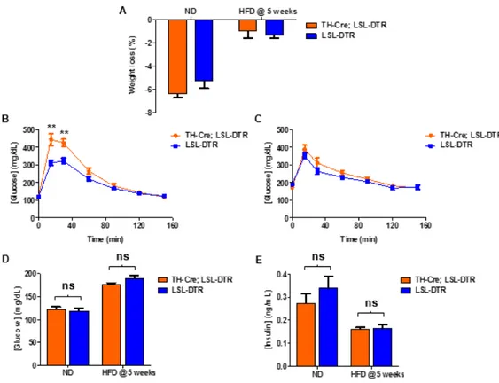 Figure  3.9  –   Sympathectomy  affects  glucose  tolerance,  without  affecting  blood  glucose  and  insulin