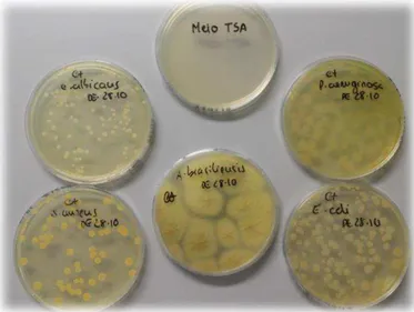 Figura 3.2 - Teste de promoção e inibição de crescimento de microrganismos no meio TSA