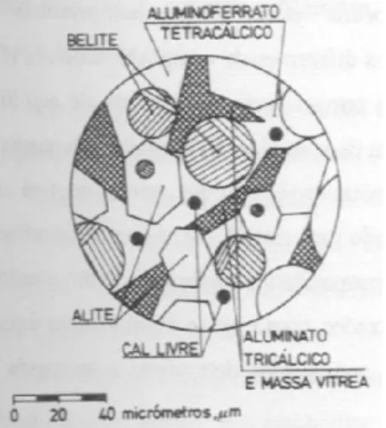 Figura 3.5 - Representação esquemática dos principais componentes do clínquer de cimento Portland,  (Sousa Coutinho, 1997) 