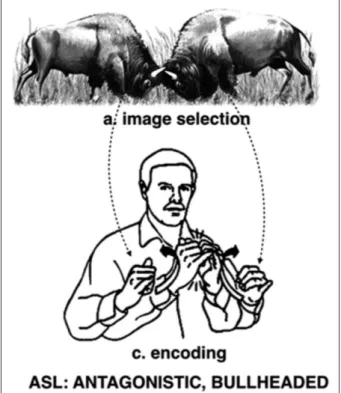 Figure 10 – The Y-handshape in the ASL antagonistic and its synonyms