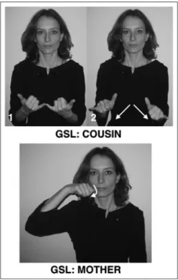 Figure 5 – Examples of the Y-handshape in the community domain 7