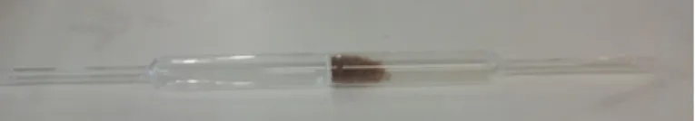 Figura 2.2: Reactor de vidro com o polímero mesoporoso para calcinação