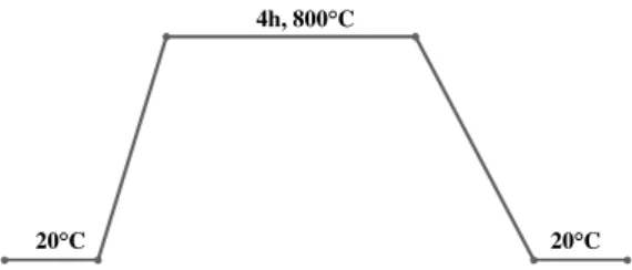 Figura 2.6: Rampa de aquecimento para a ativação física do carvão vegetal da acácia Funcionalização e lavagem do carvão, CVA_A
