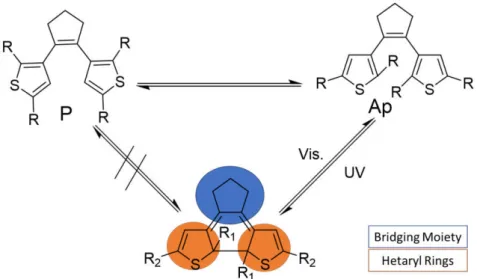 Figure 1.3 Conformations of DAE’s open-isomers, which are called parallel and antiparallel  conformations