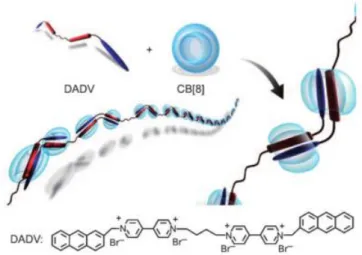 Figure 1.11 Schematic representation of the formation of the supramolecular polymer based on multiple  host-stabilized charge-transfer interactions