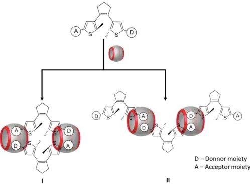 Figure 2.1 Scheme of the first approach for the molecular design of monomers used for supramolecular  polymerization