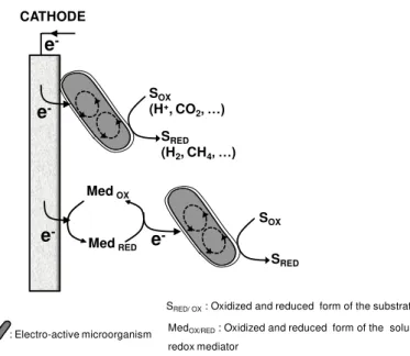 Figure  1.1  -  Direct  or  mediated  extracellular  electron  transfer  mechanisms  at  the  cathode  of  a  bioelectrochemical  system  (Villano,  Aulenta  &amp;  Majone  2012)