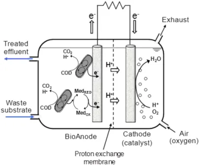 Figure  1.2  -  Schematics  of  a  microbial  fuel  cell  (MFC):  at  the  anode,  organic  material  from  the  wastewater  is  oxidized  by  electrochemically  active  microorganisms,  which  transfer  the  gained  electrons  to  the  electrode