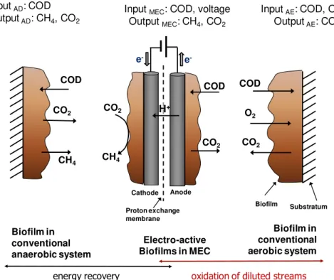 Figure  1.4  -  Main  features  of  conventional  anaerobic  and  aerobic  biofilm  processes  and  electro - -active  biofilms  in  a  methane-producing  MEC  (biomass  growth  was  not  considered  in  this  simplified representation) (Villano, Aulenta &