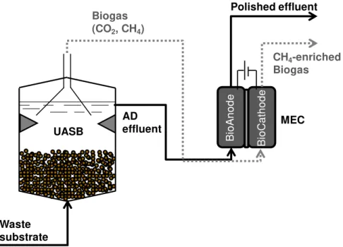 Figure  1.5  -  Enhanced  methane  production  and  waste  substrate  removal  through  a  coupled  anaerobic  digestion  (AD)  and  methane-producing  MEC:  the  AD  liquid  and  gaseous  effluents  are  further  processed  at  the  anode  and  the  catho