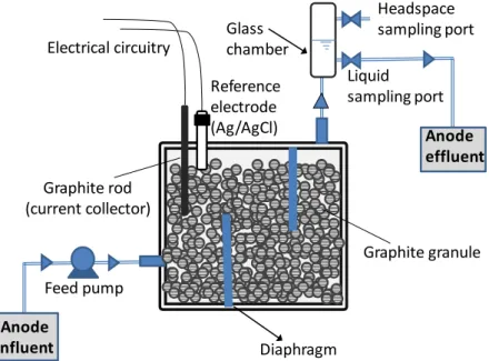 Figure 3.3 - Schematic overview of the MEC anode compartment. 