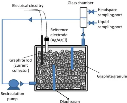 Figure 3.4 - Schematic overview of the MEC cathode compartment  (Villano et al. 2011)