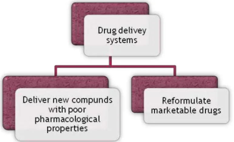 Figure 3.3 - Summary of the two main problems that could be overcome using new drug delivery system