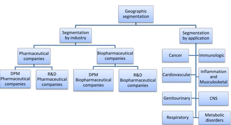 Figure 0.3 – Segmentation summary  Geographic  segmentation Segmentation by industry Pharmaceutical companies DPM Pharmaceutical companies R&amp;D Pharmaceutical companies Biopharmaceutical companies DPM Biopharmaceutical companies R&amp;D  Biopharmaceutic