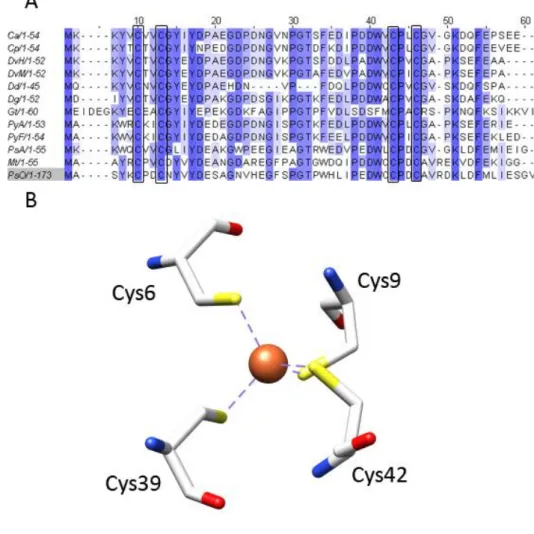 Fig. I.2 – A) Primary sequence alignment of the 12 available rubredoxin structures in the Protein Data  Bank  (www.rscb.org/pdb)  in  July  2010