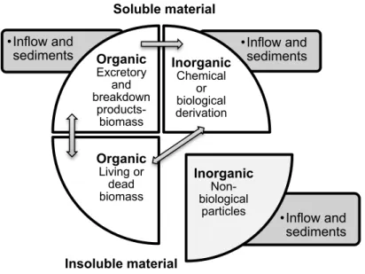 Figure 2.7. Representative scheme of the chemical composition of natural waters (adapted from [43])