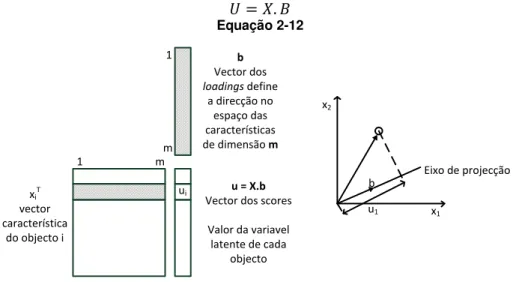 Figura 2-2  –  Projecção de um vector característico que define uma variável latente(Gasteiger, 2003) 