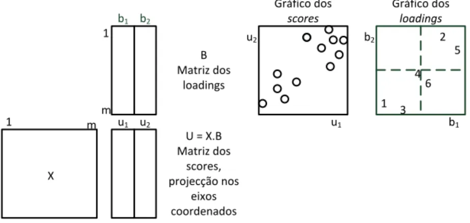 Figura 2-3  –  Projecção no plano resulta em 2 gráficos: um dos scores outro dos loadings(Gasteiger, 2003) 
